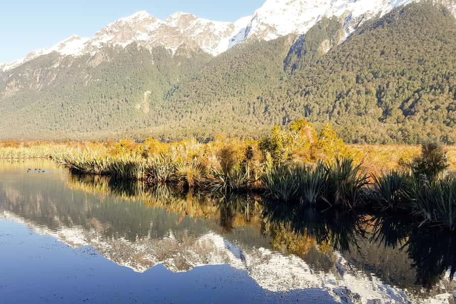 From Queenstown: Milford Sound Premium Day Tour and Cruise - Weather changes the experience, not just the view