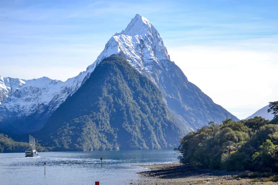 From Queenstown: Milford Sound Premium Day Tour and Cruise - How good is the $170 value?