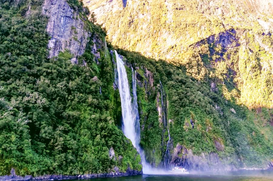 From Queenstown: Milford Sound Premium Day Tour and Cruise - My verdict on the Queenstown Milford Sound day tour