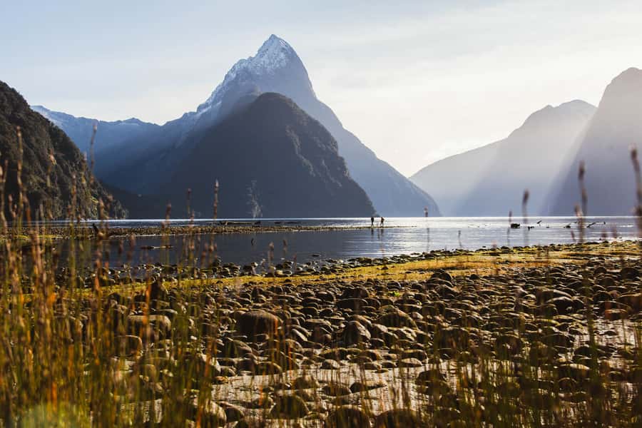 From Queenstown: Milford Sound Scenic Flight & Nature Tour - What the $328 price really buys you
