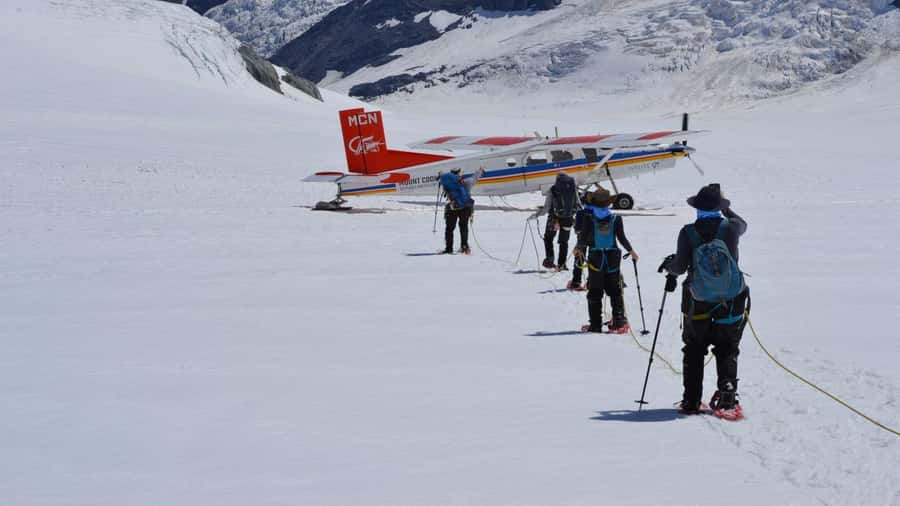 From Queenstown: Mount Cook Heli-Hike and Bus Tour Combo - Who should book this experience?