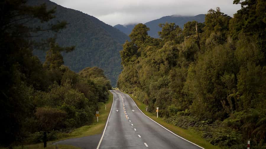 From Queenstown: Scenic One-Way Tour to Franz Josef - Who will enjoy this journey most?