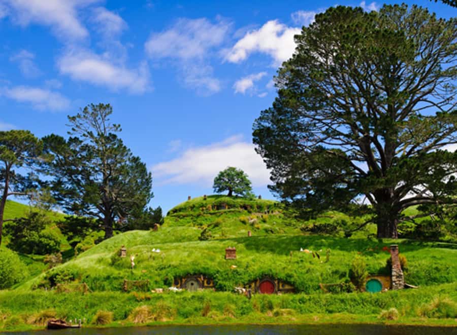 From Rotorua: Hobbiton Movie Set Tour with Festive Lunch - Arriving at a working sheep farm