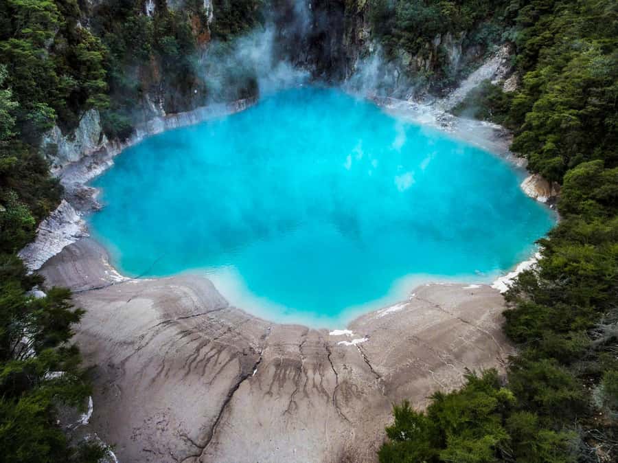 From Rotorua: Wai-O-Tapu, Waimangu and Te Puia Full-Day Tour - Who should book this tour?