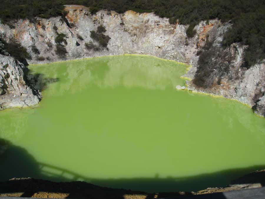 From Rotorua: Wai O Tapu & Waimangu Eco Thermal Morning Tour - Why seeing both parks makes sense