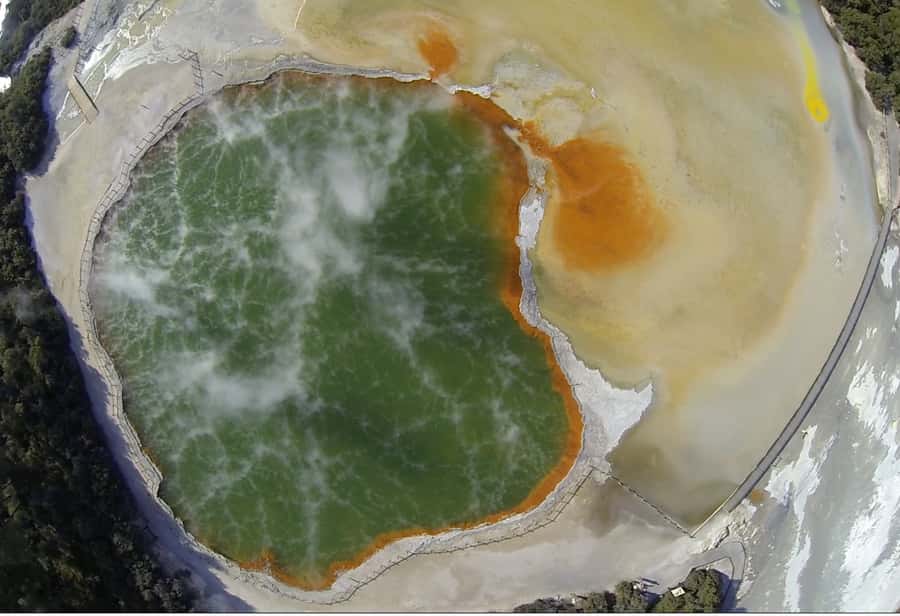 From Rotorua: Wai O Tapu & Waimangu Eco Thermal Morning Tour - Lady Knox Geyser has a fixed 10:15 appointment