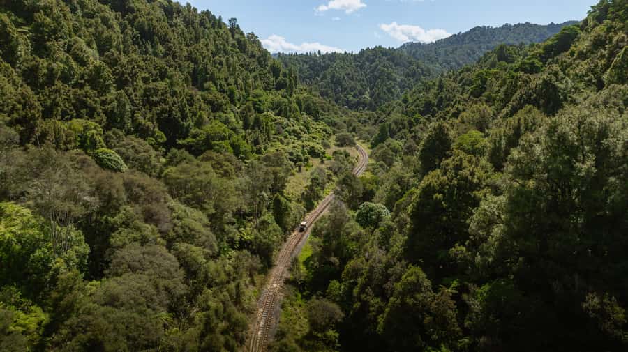 From Taumarunui: The Republic Rail Cart Adventure - Key points to know before you book