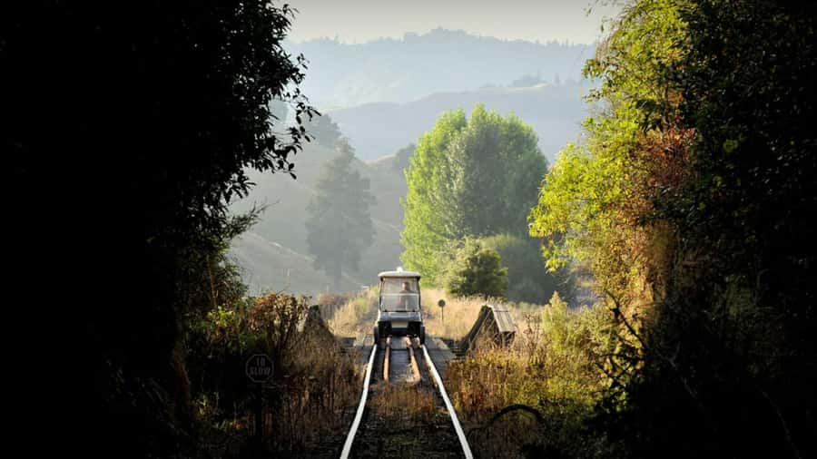 From Taumarunui: The Republic Rail Cart Adventure - Why the Forgotten World is best seen from the railway