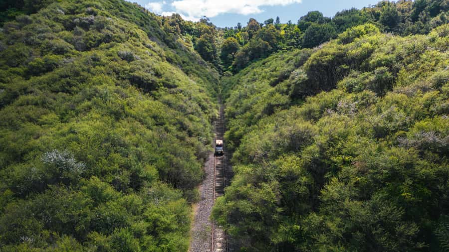 From Taumarunui: The Republic Rail Cart Adventure - Matiere and the first taste of the old railway