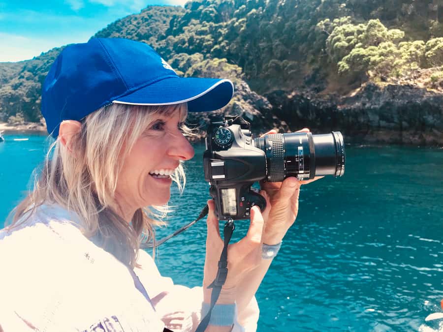 From Tauranga: Dolphin and Wildlife Cruise - Tauranga Harbour, Tangaroa, and Mauao
