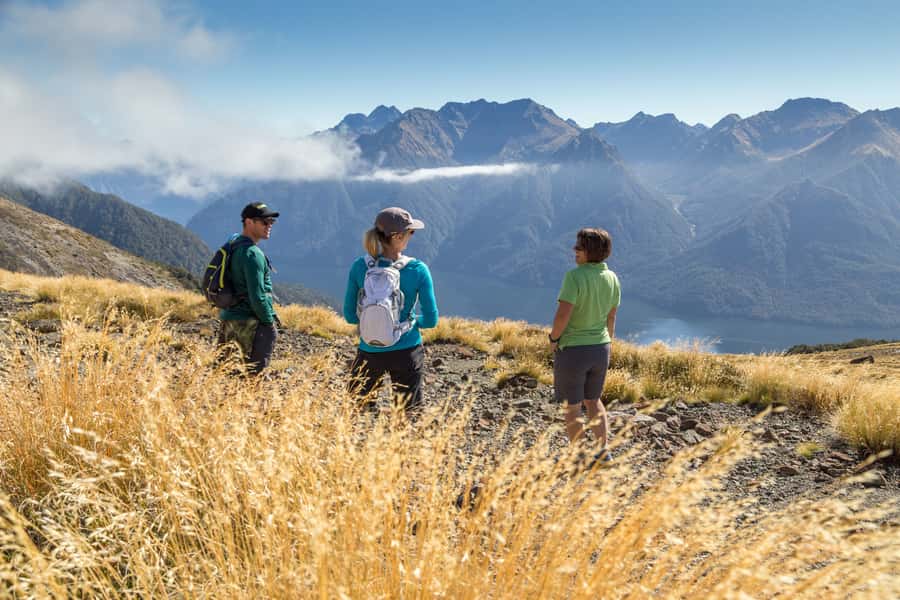 From Te Anau: Full Day Kepler Track Guided Heli-Hike - The long walk down through Fiordland forest