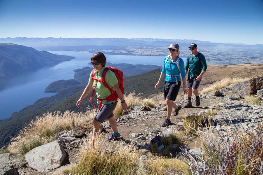 From Te Anau: Full Day Kepler Track Guided Heli-Hike - What the guide adds to the day
