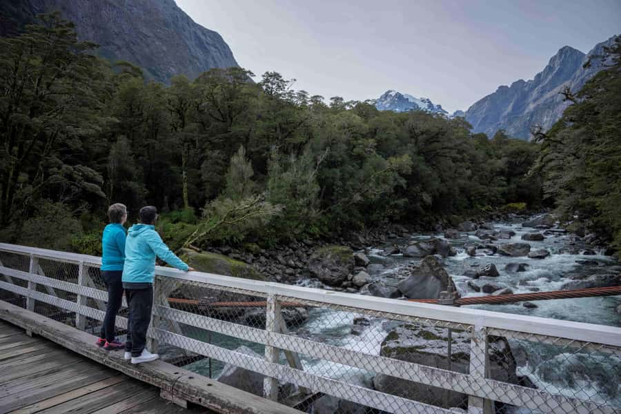 From Te Anau: Milford Sound Coach, Cruise, and Walks - Key points to know before booking