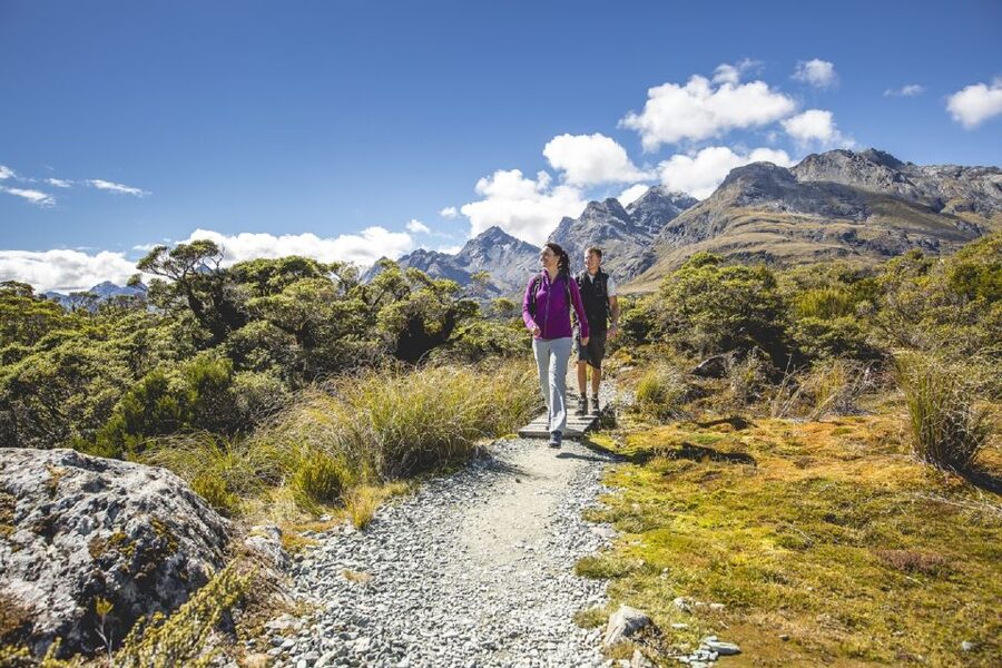 From Te Anau: Milford Sound Coach, Cruise, and Walks - What the $164 price includes