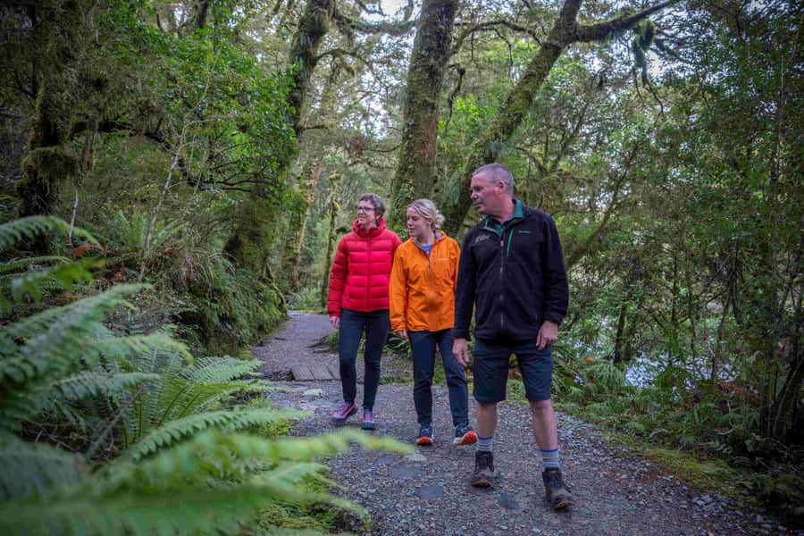 From Te Anau: Milford Sound Coach, Cruise, and Walks - How the small group changes the day