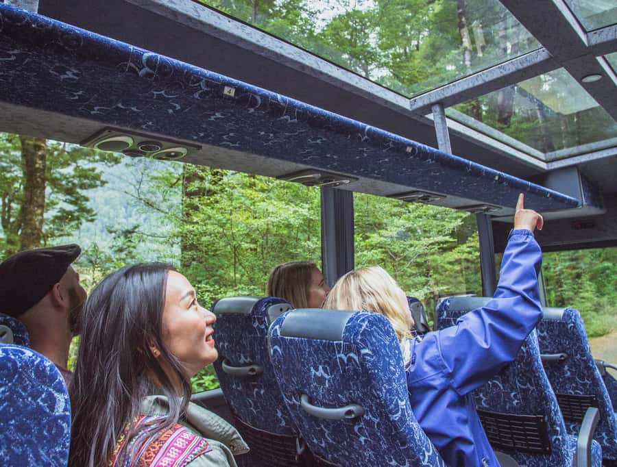 From Te Anau: Milford Sound Coach Tour and Cruise - Short walks, photo stops, and wet-weather scenery