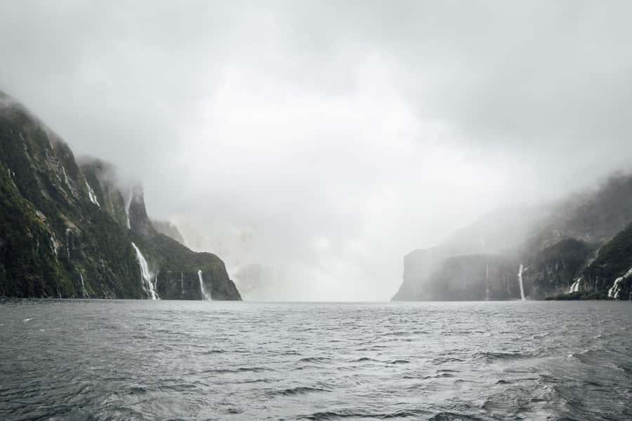 From Te Anau: Milford Sound Coach Tour and Cruise - How crowded will the day feel?