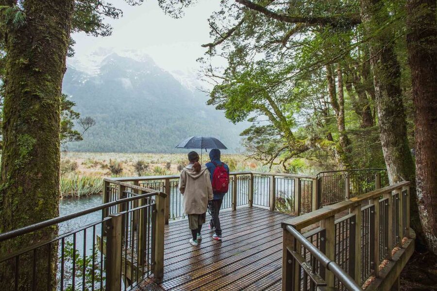 From Te Anau: Milford Sound Coach Tour and Cruise - Who will get the most from this tour?