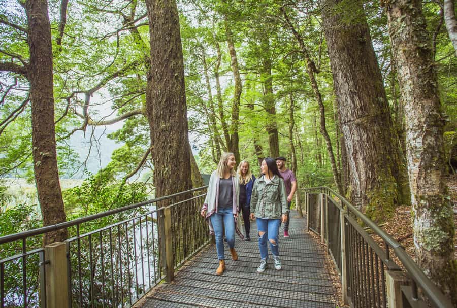 From Te Anau: Milford Sound Coach Tour and Cruise - Should you book the Te Anau Milford Sound tour?