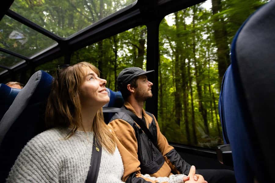From Te Anau: Milford Sound Cruise and Coach Day Trip - Food and comfort on the boat