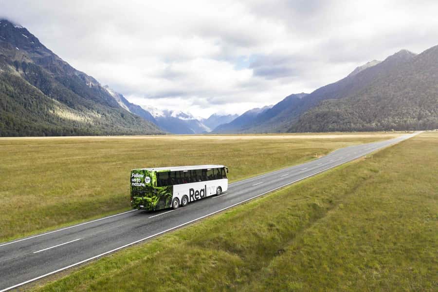 From Te Anau: Milford Sound Cruise and Coach Day Trip - The Milford Road is part of the attraction