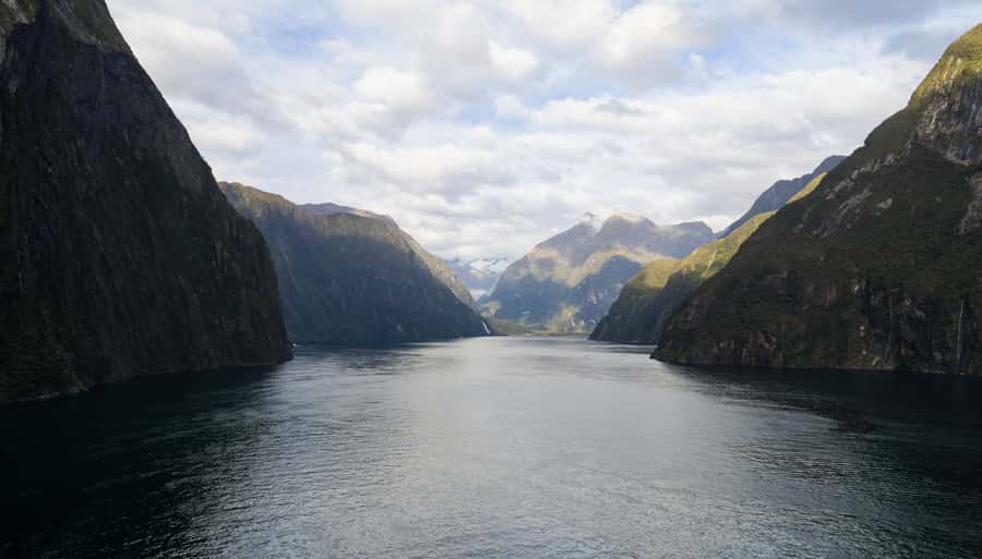 From Te Anau: Milford Sound Cruise & Glass-Roof Coach Tour - Is $130 good value?
