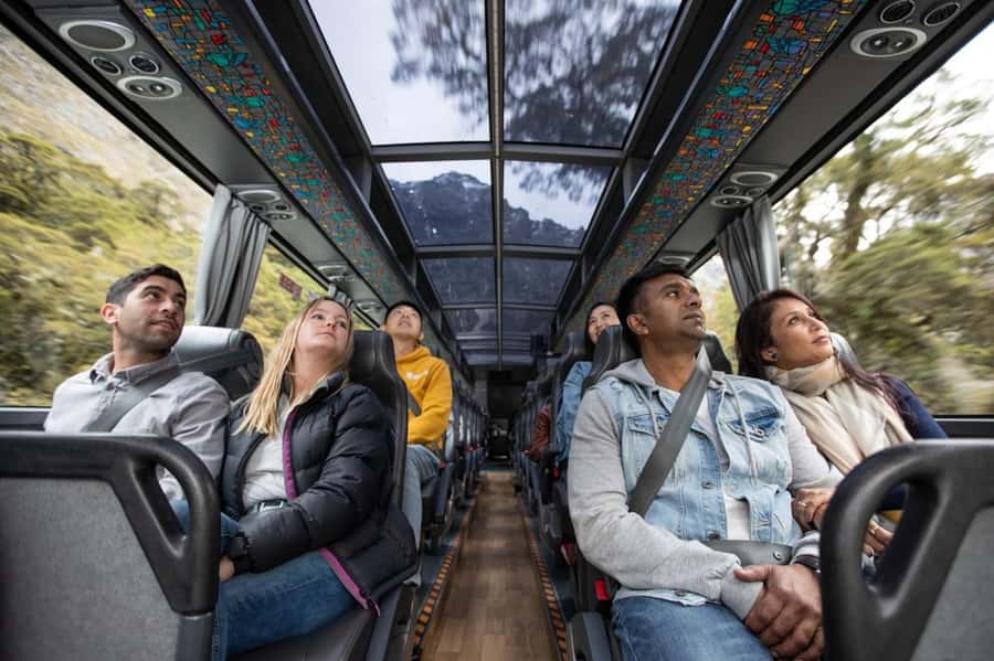 From Te Anau: Milford Sound Cruise & Glass-Roof Coach Tour - Lunch, cash, and the practical details