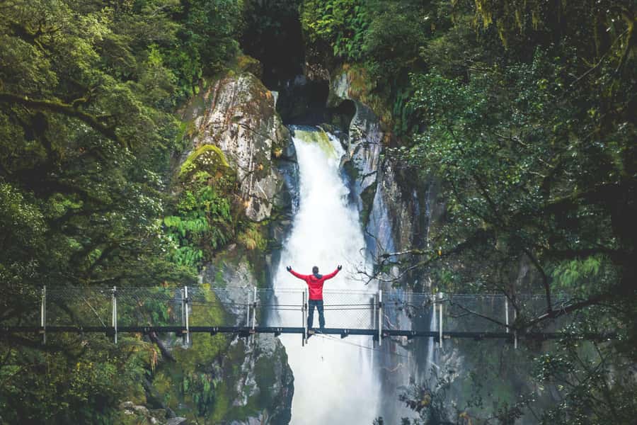 From Te Anau: Milford Sound Cruise & Track Walk by Coach - Cruising beneath the waterfalls of Milford Sound