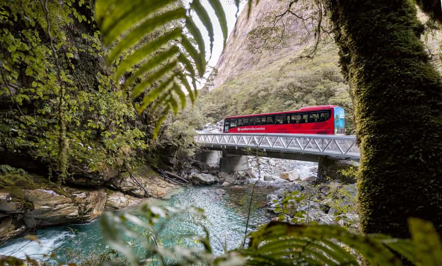 From Te Anau: Milford Sound Premium Bus Tour and Cruise - Mirror Lakes reward a quick visit