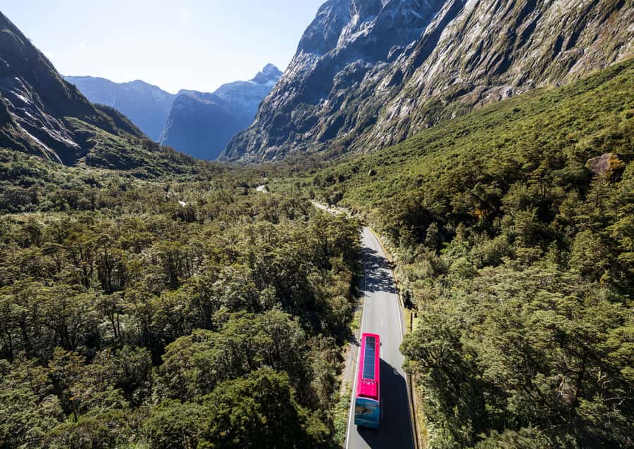 From Te Anau: Milford Sound Premium Bus Tour and Cruise - Knobs Flat and Monkey Creek add useful pauses
