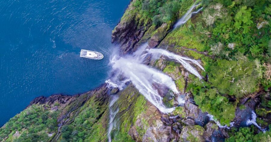 From Te Anau: Milford Sound Small-Group Tour Including Lunch - Hollyford River, Falls Creek, and the mountain road