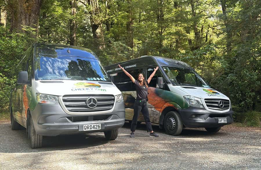 From Te Anau: Milford Sound Small-Group Tour Including Lunch - The return trip and the Chasm walk