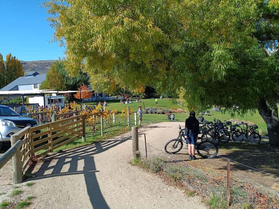 From Wanaka - Bike the Dunstan Trail with shuttle return - Bike fitting and the safety briefing