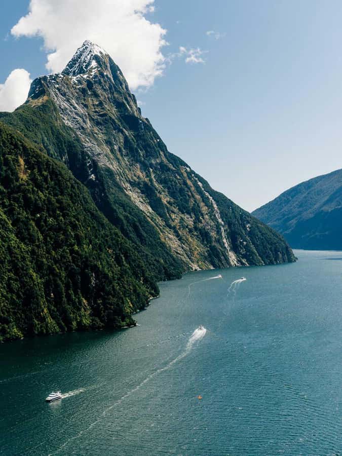 From Wanaka: Milford Sound Flight with Landing & Glaciers - Key points to know before you book