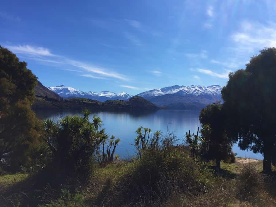 From Wanaka: Ruby Island 1-Hour Cruise and Photo Walk - Why Ruby Island works as a one-hour outing