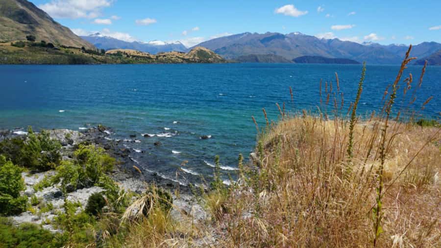 From Wanaka: Ruby Island 1-Hour Cruise and Photo Walk - Meeting the boat beside the Dinosaur Park