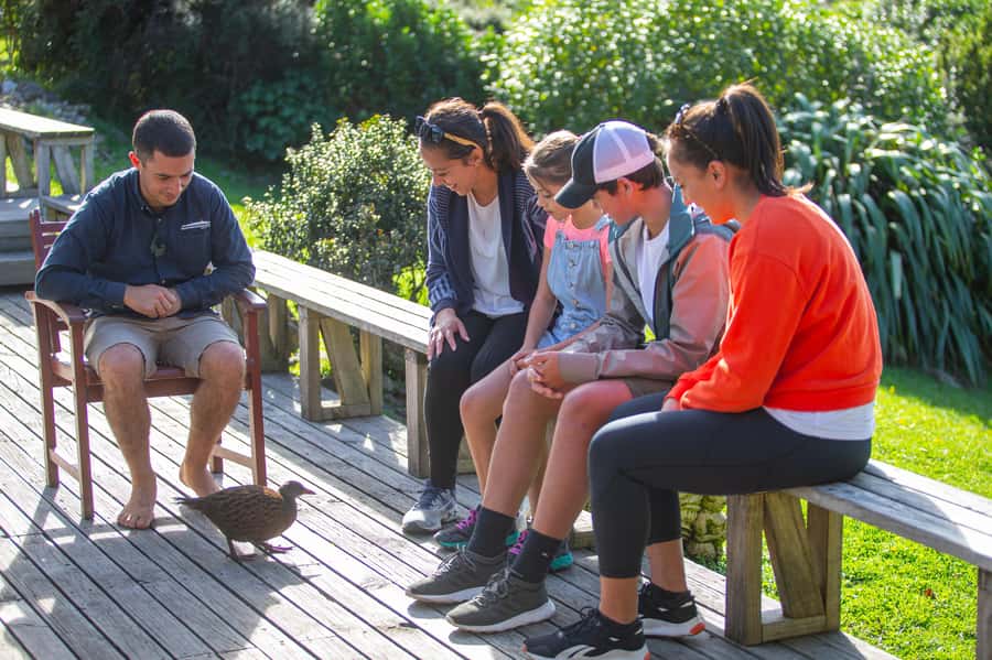 From Wellington: Kapiti Island Classic Guided Day Tour - The ferry crossing to Waiorua Bay