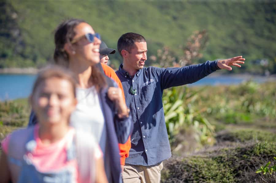 From Wellington: Kapiti Island Classic Guided Day Tour - Why the predator-free reserve matters