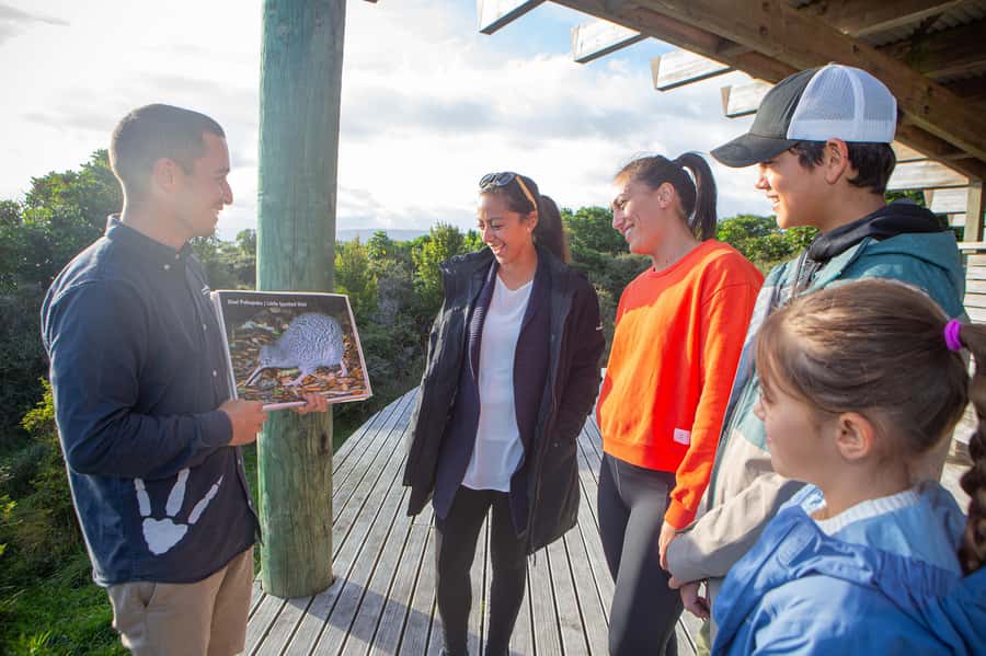 From Wellington: Kapiti Island Classic Guided Day Tour - Seasonal walking and the coastal route