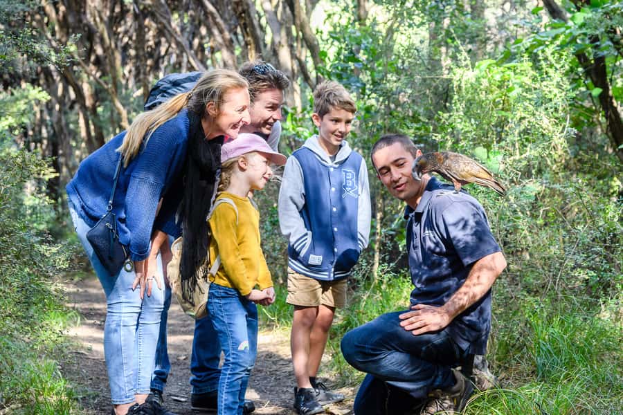 From Wellington: Kapiti Island Classic Guided Day Tour - The value of $298 per person