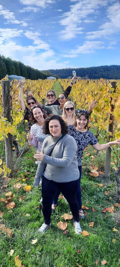 From Wellington: Martinborough Winery Tour - Crossing the Remutaka Ranges from Wellington