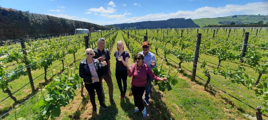 From Wellington: Martinborough Winery Tour - Moy Hall, Te Kairanga, Margrain, and Palliser