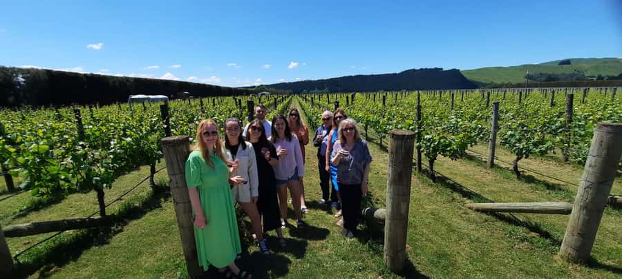 From Wellington: Martinborough Winery Tour - How much wine do you actually taste?