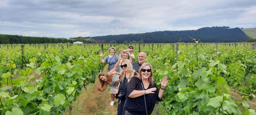 From Wellington: Martinborough Winery Tour - Comfort, access, and the practical details