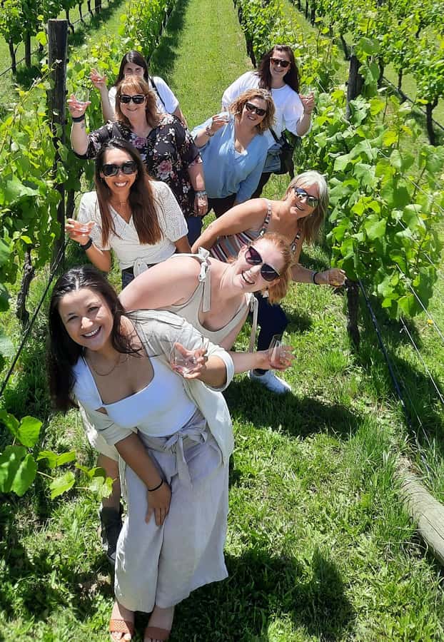 From Wellington: Martinborough Winery Tour - Poppies Martinborough and its tasting room selection