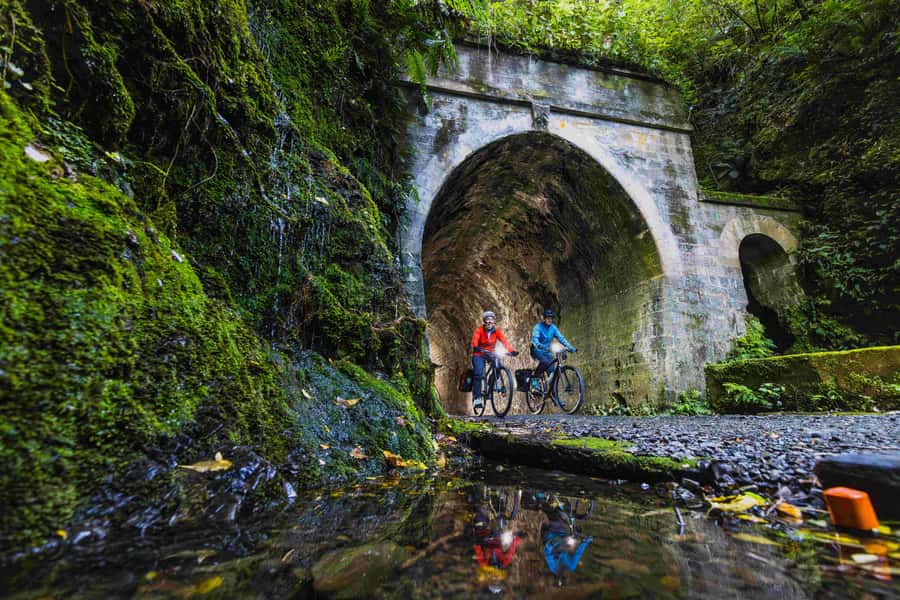 From Wellington: Remutaka Rail Trail eBike Tour - Key points to know before booking