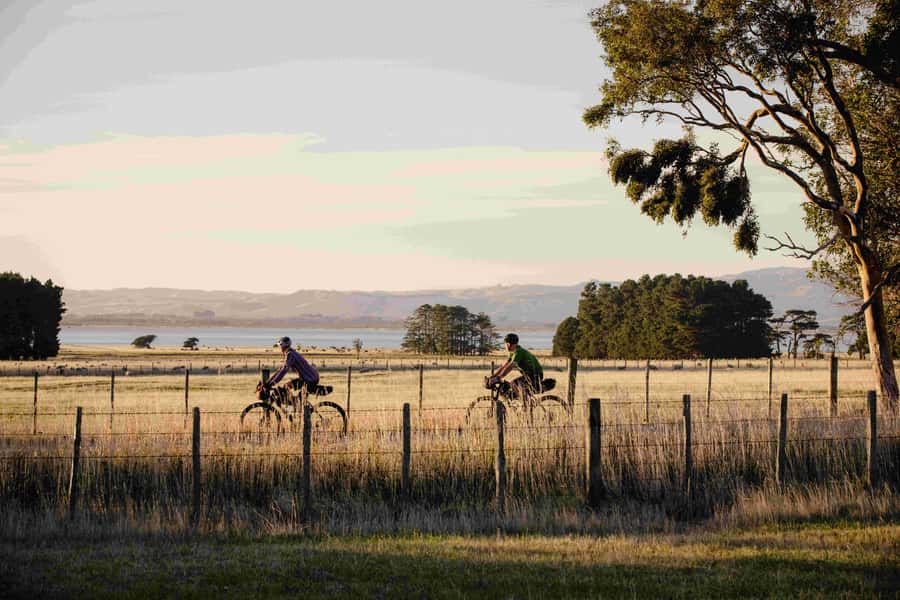 From Wellington: Remutaka Rail Trail eBike Tour - Why the Remutaka Rail Trail works so well by eBike