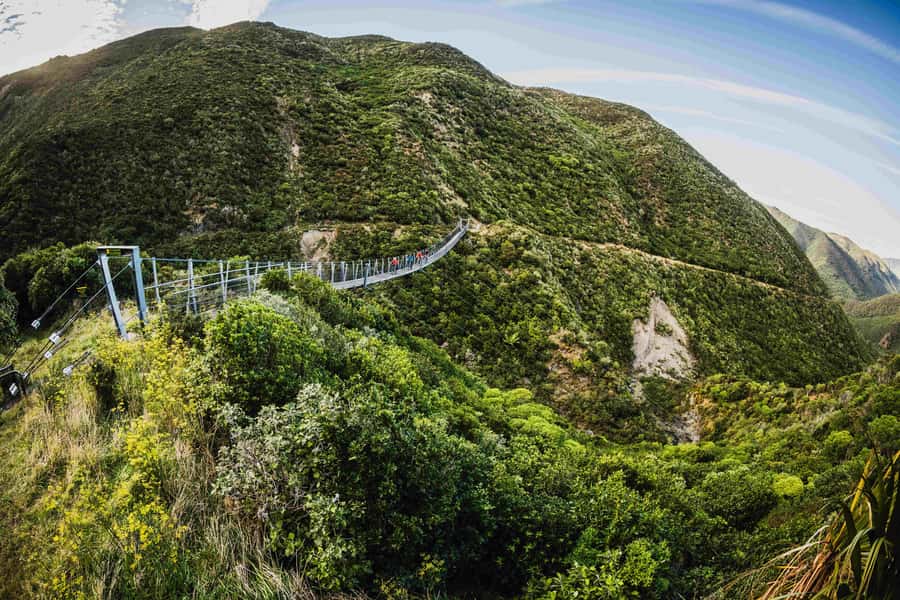 From Wellington: Remutaka Rail Trail eBike Tour - Through bush, tunnels, and old railway works