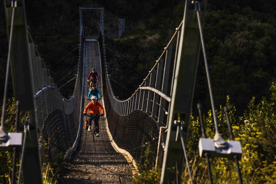 From Wellington: Remutaka Rail Trail eBike Tour - The descent, swing bridge, and Cross Creek