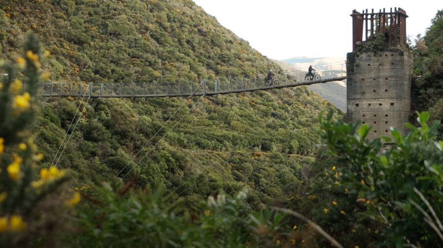 From Wellington: Remutaka Rail Trail eBike Tour - The final 10km to Featherston